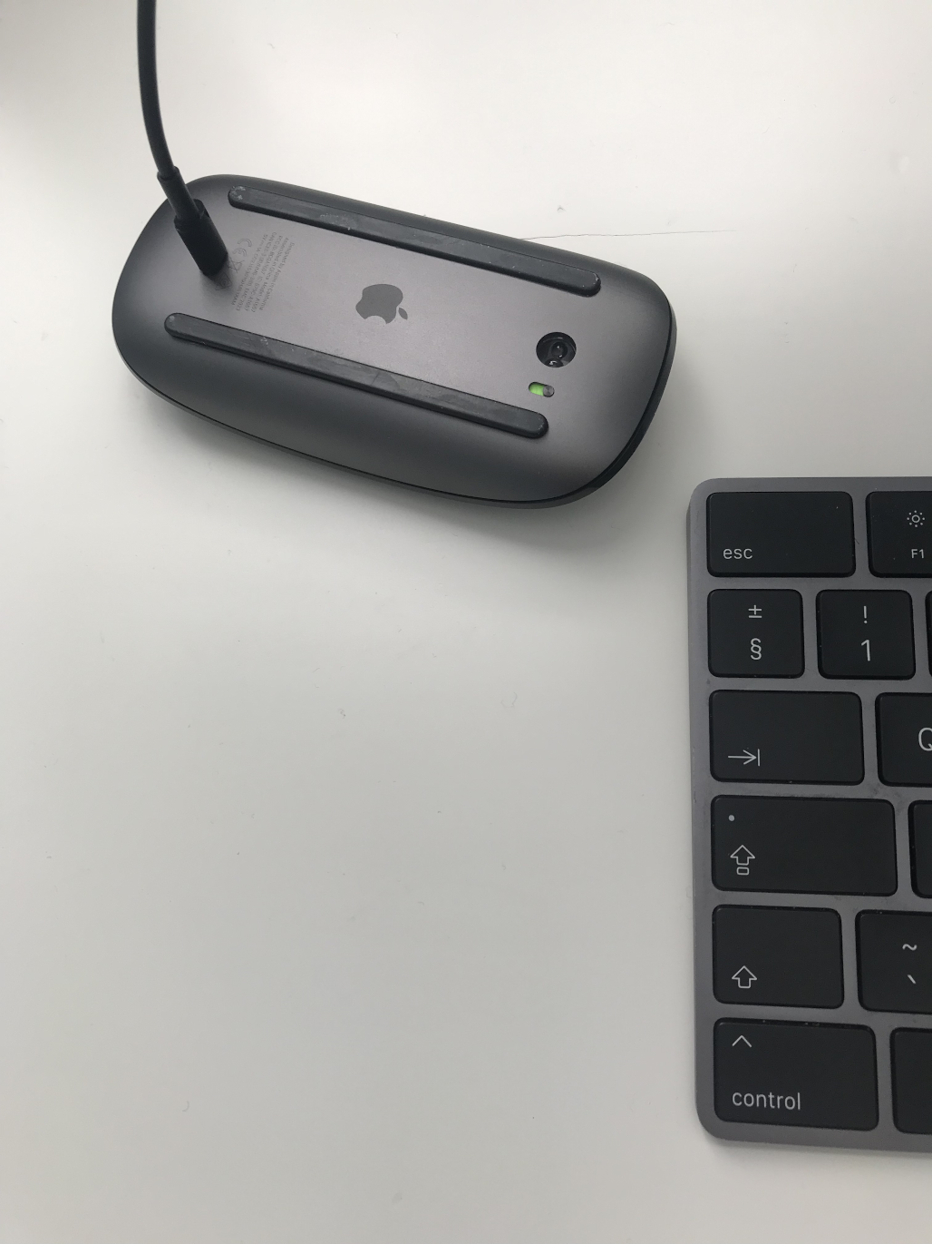 a mouse charging upside down