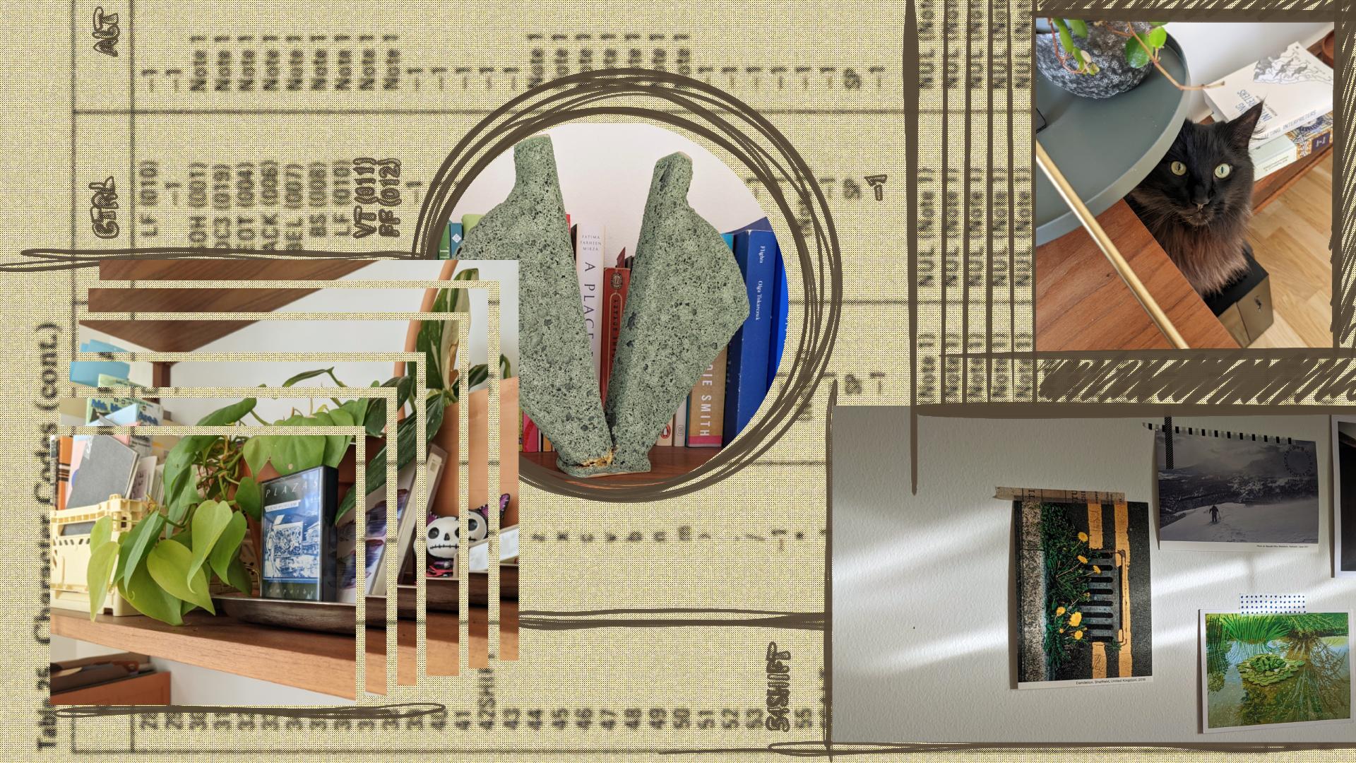 An image collage overtop of blurred out, pixelated IBM instruction manual. Images include a black fluffy cat peeking at the camera sitting on top of a computer, postcards on a wall with sunlight seeping through, cutup photograph of plants on a tray with two cassettes next to them, and a mossy green split vase standing in front of books. The collage is drawn all over in slightly jagged lines.