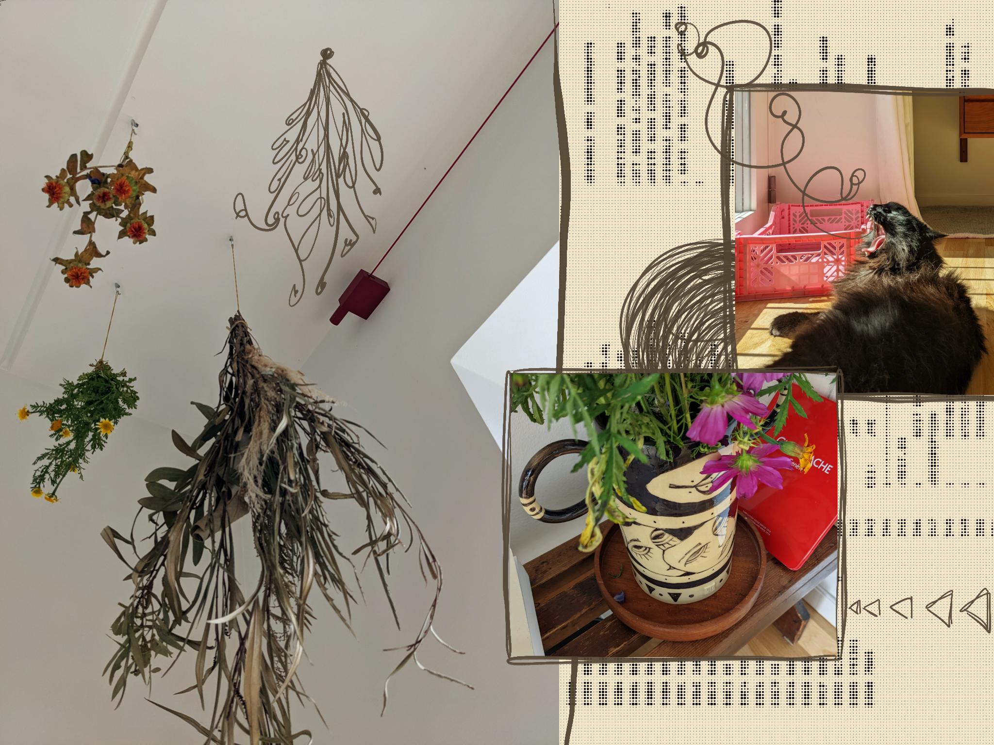 A collage on top of blurred out, pixelated old IBM manual. Photographs include drying flowers hanging from the ceiling, a flack floofy yawning cat lying on the floor next to a pink crate, and a vase with large round handles with cosmos flowers peeking out. The collage is drawn over in jagged, slightly unstable squiggly lines.