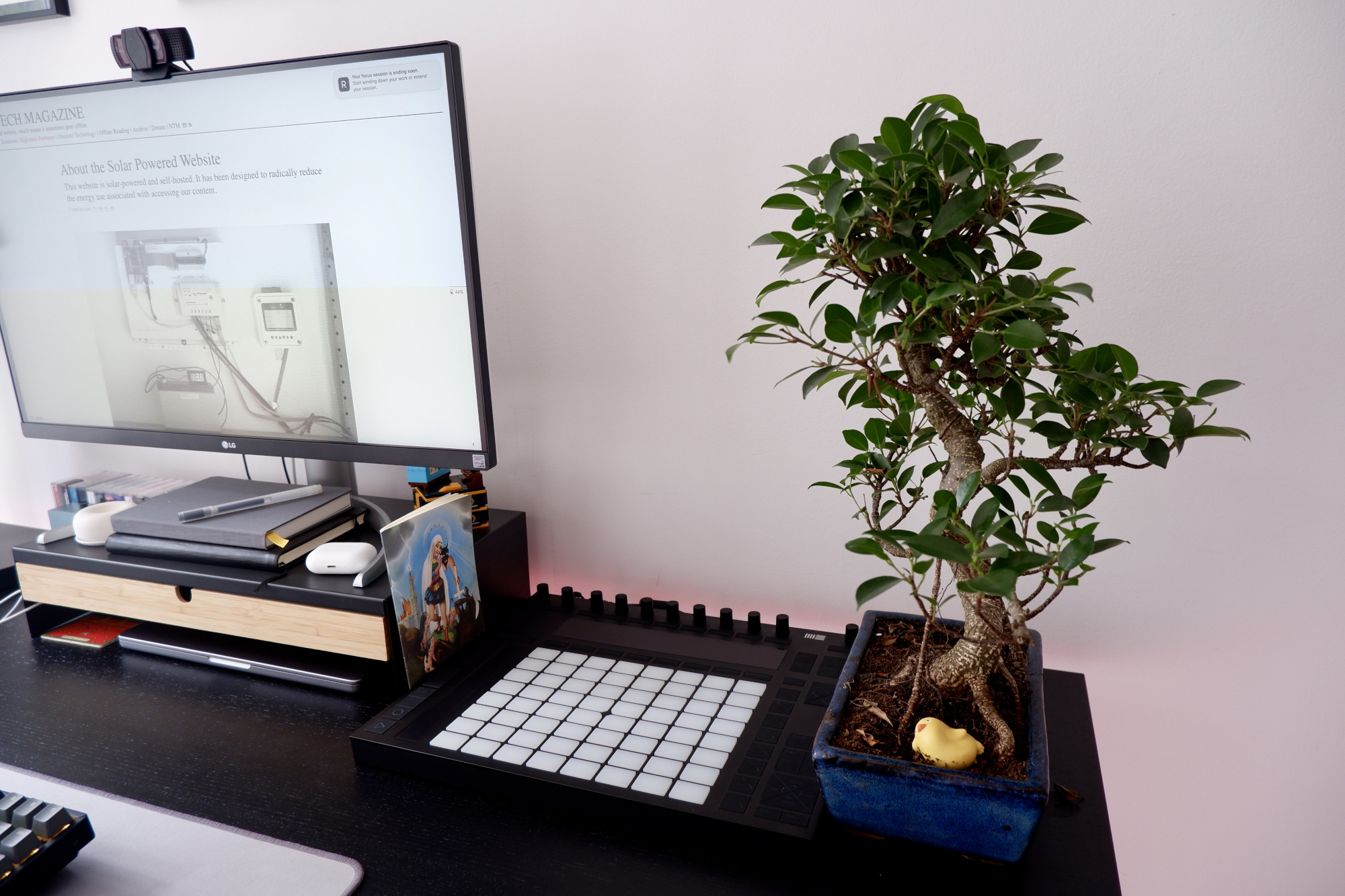 Angled photo of the desk, with a plant visible standing on it